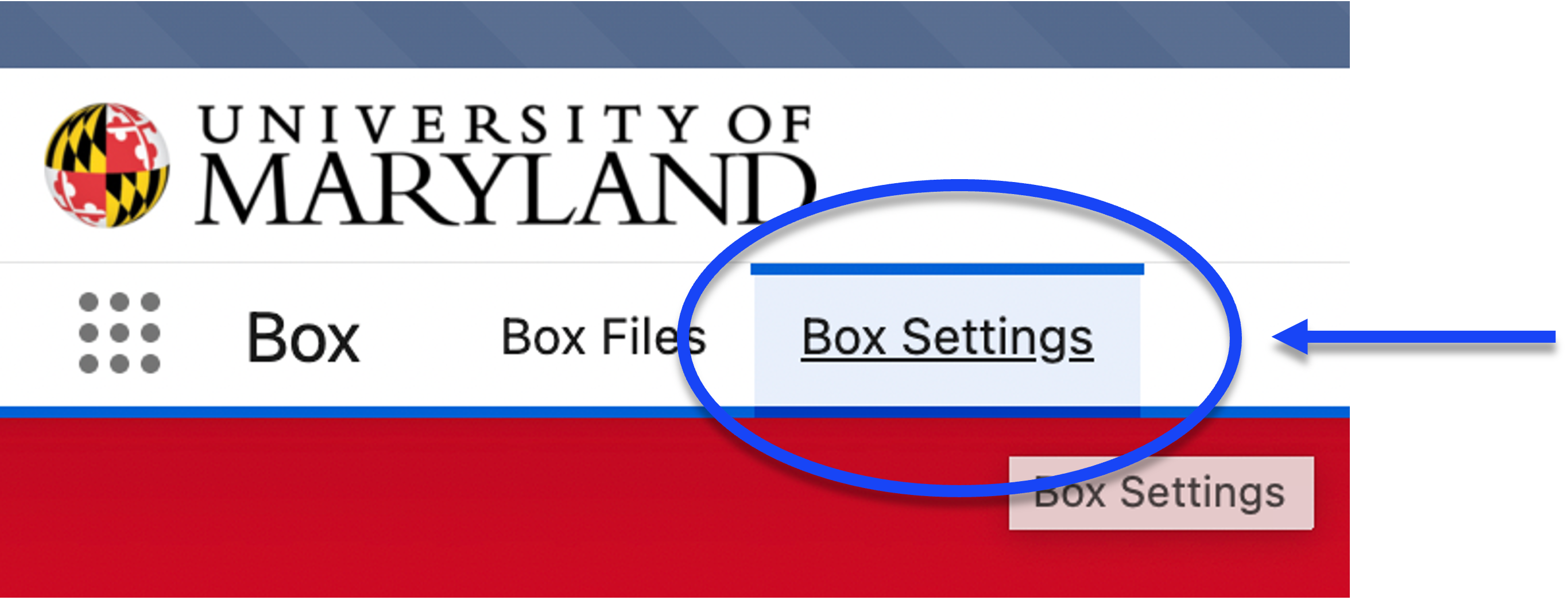 Box Settings Tab