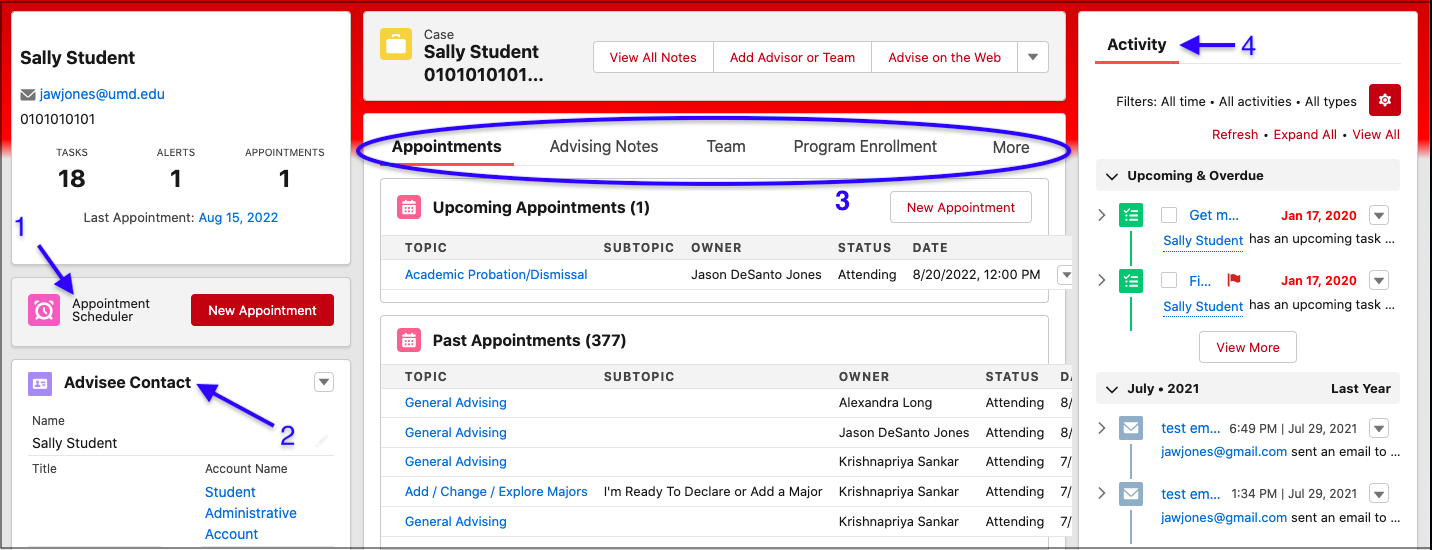 Advising case example