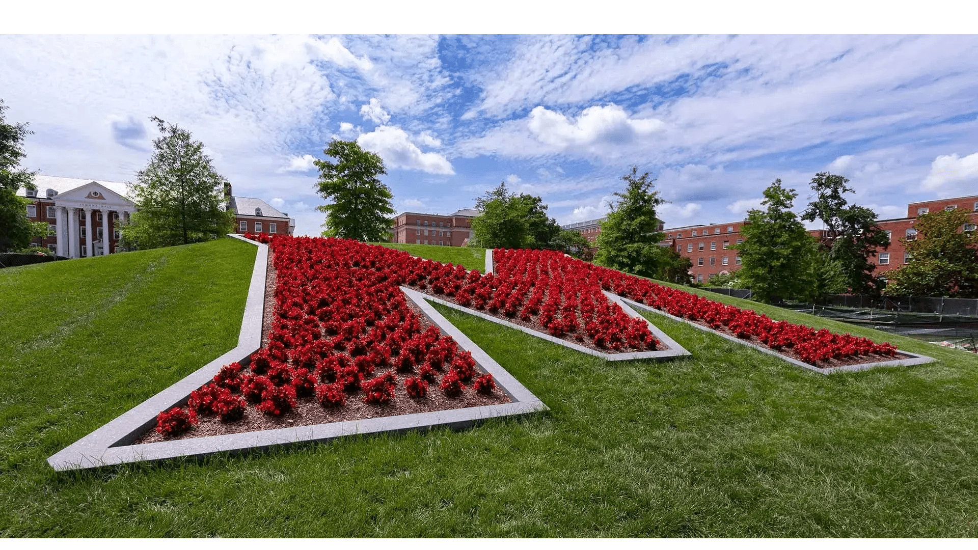 new UMD M Circle
